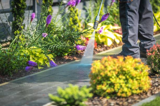 Best Boat and Dock Cleaning  in Stillwater, MN